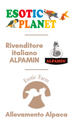 EsoticPlanet